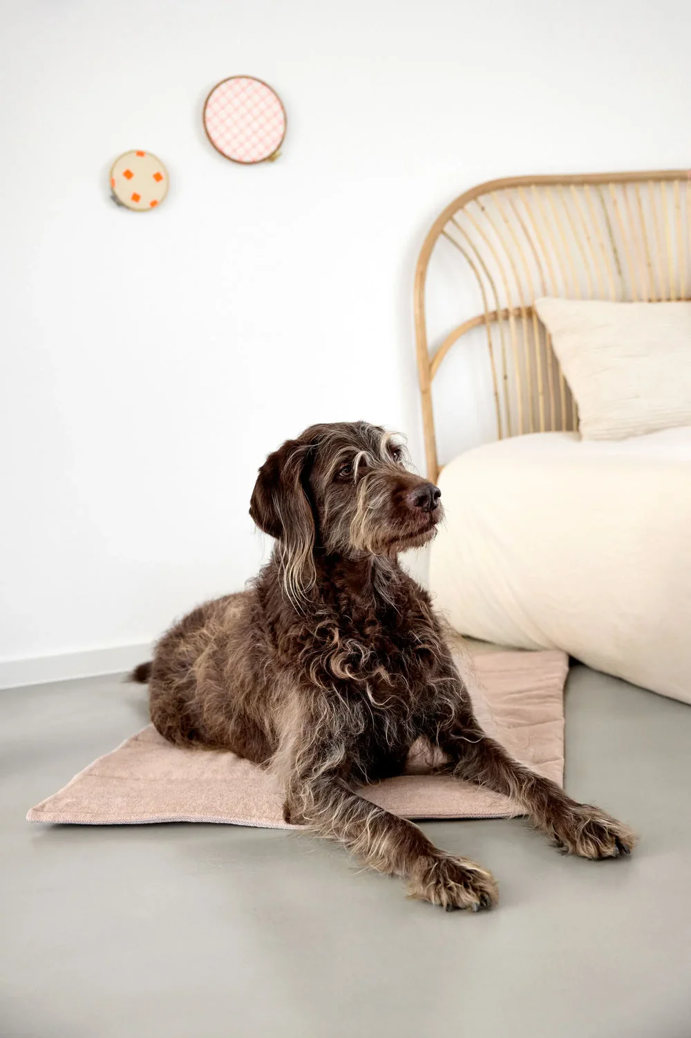 PALOPA Hundematte - Alma, Rosa
