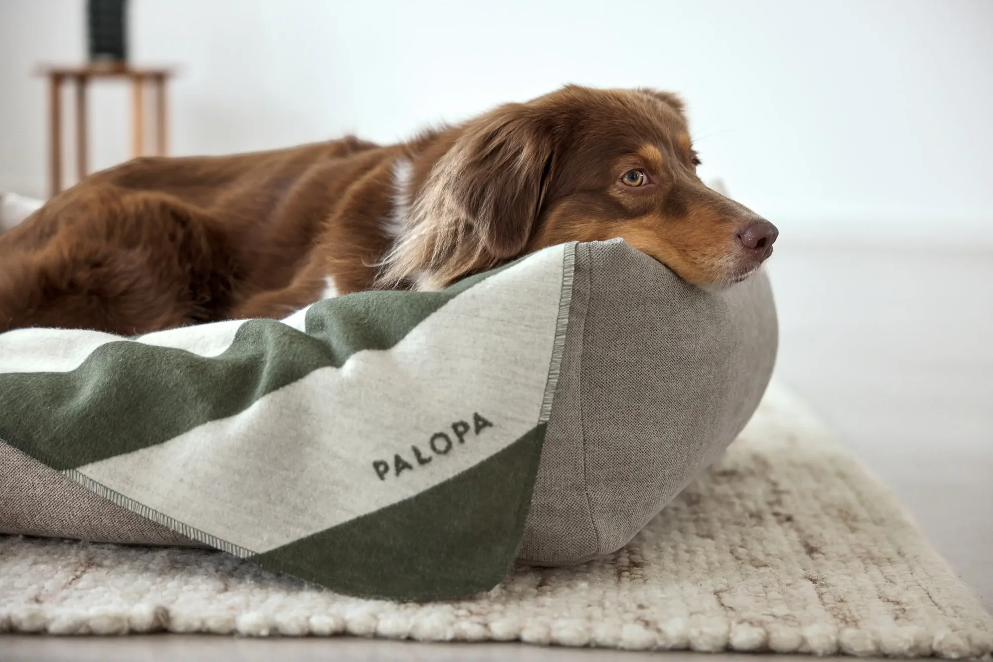 PALOPA Hundedecke M - Ida, Streifen Dunkelgrün