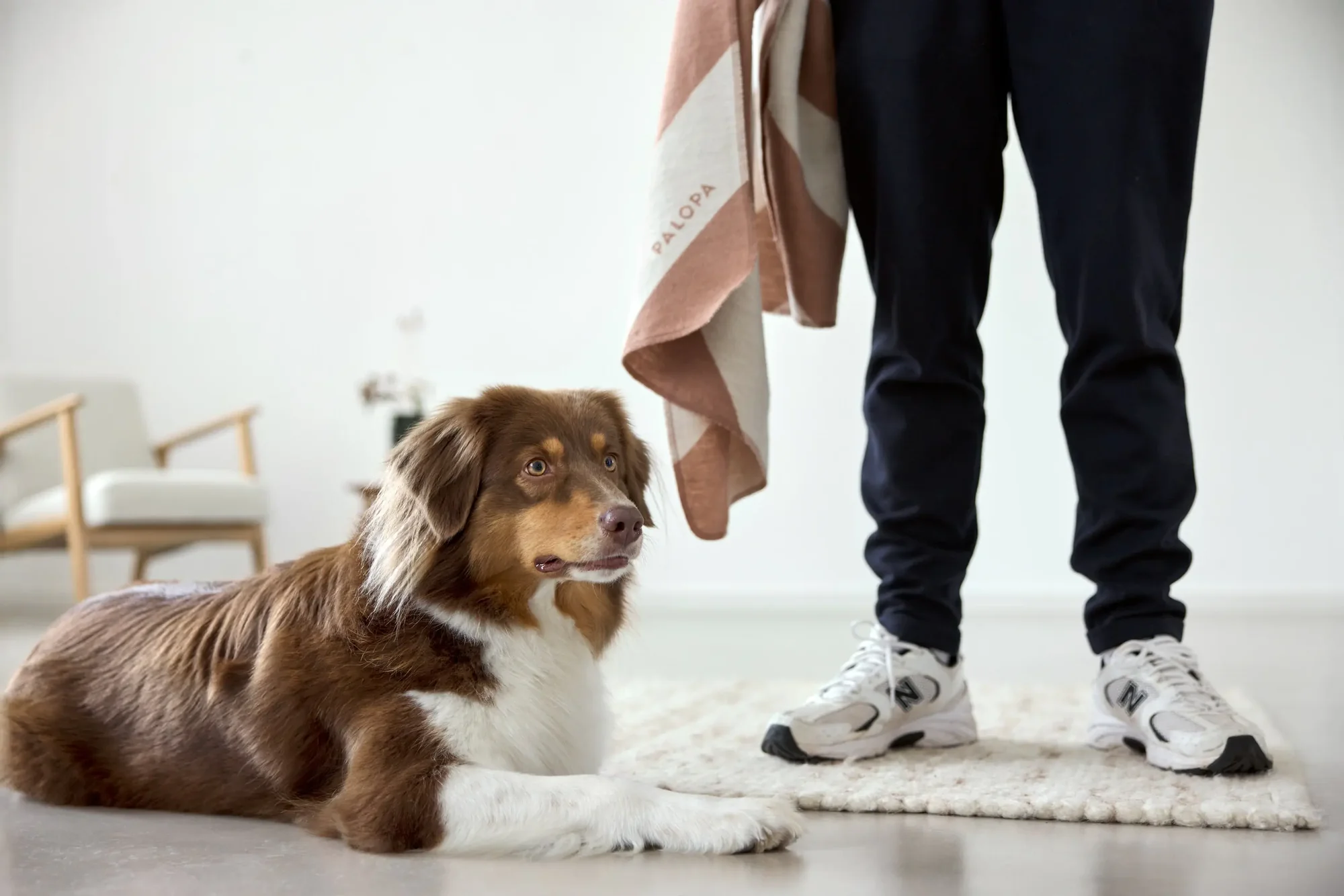 PALOPA Hundedecke M - Ida, Streifen Ahorn