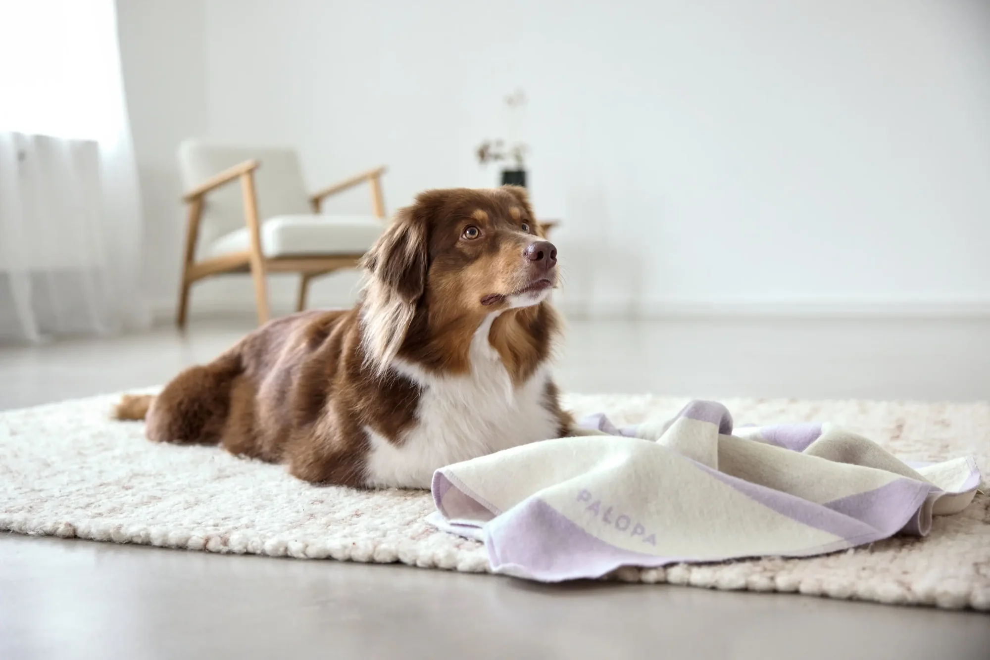 PALOPA Hundedecke M - Ida, Streifen Lila