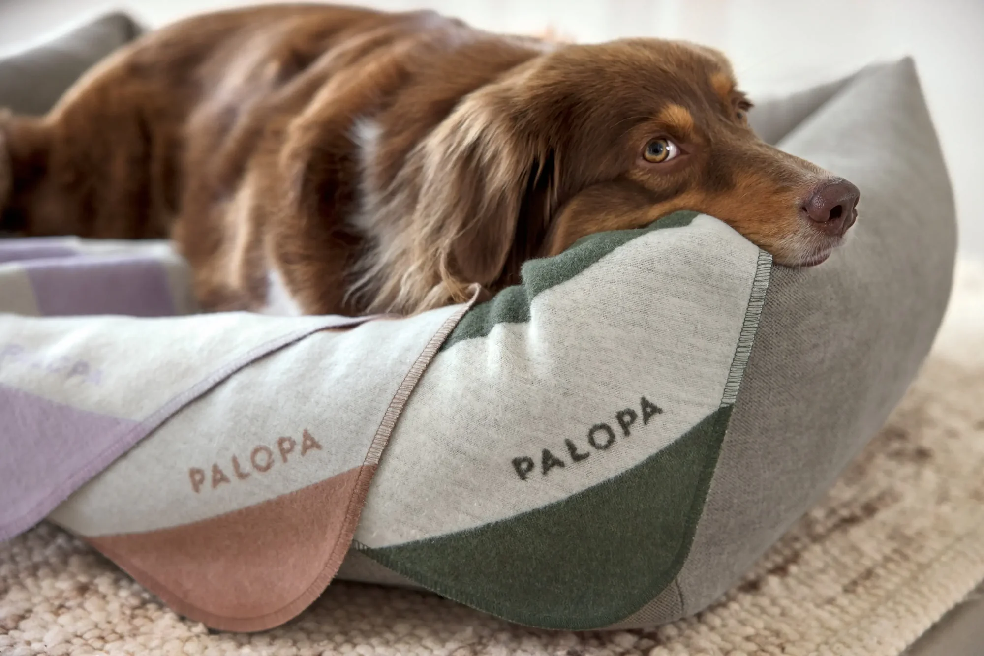PALOPA Hundedecke M - Ida, Streifen Lila