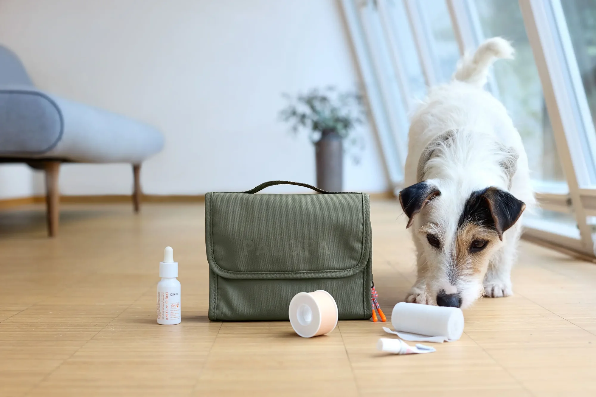 PALOPA Hunde Erste-Hilfe-Set - Bano, Dunkelgrün