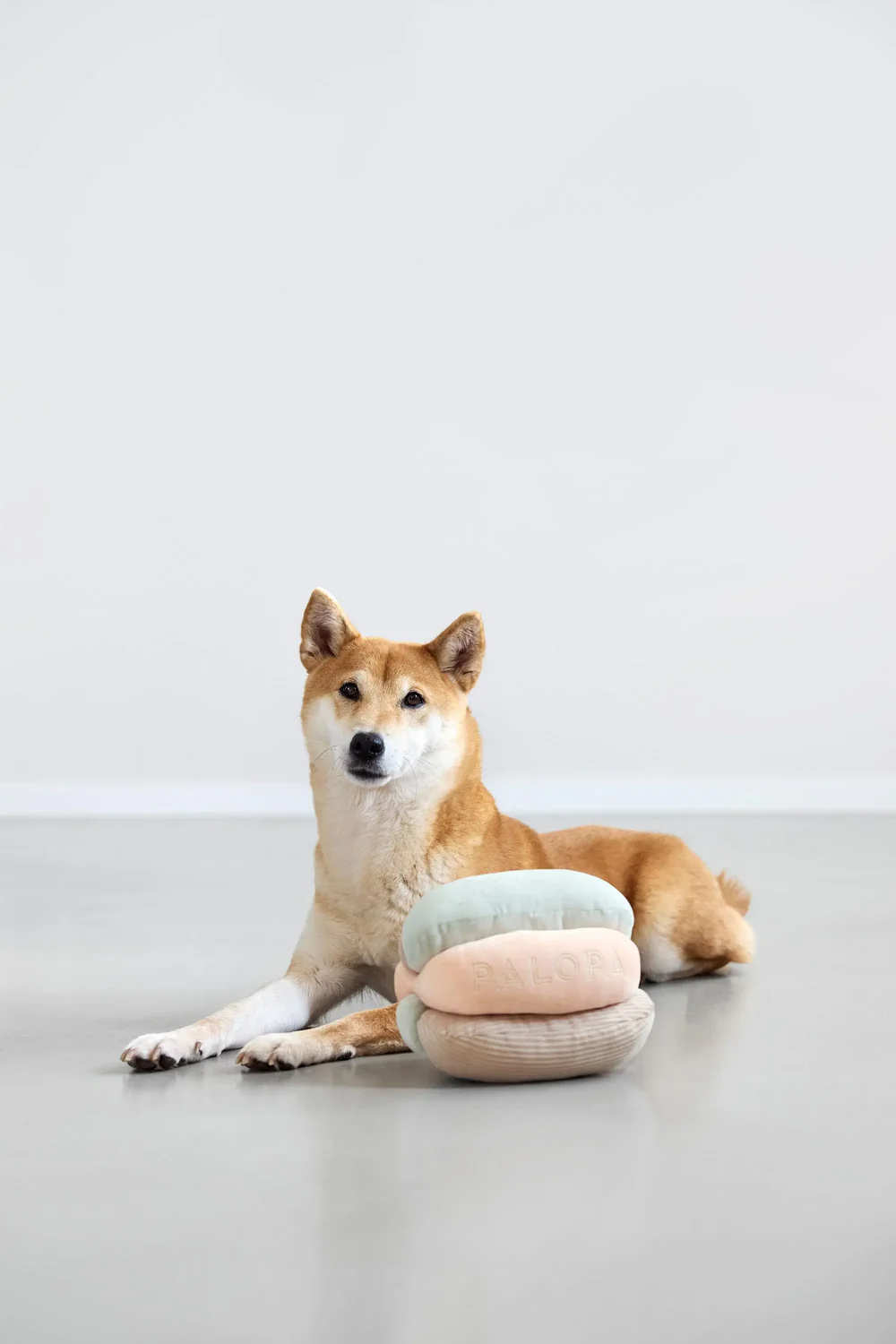 PALOPA Hundespielzeug - Brino, Rosa