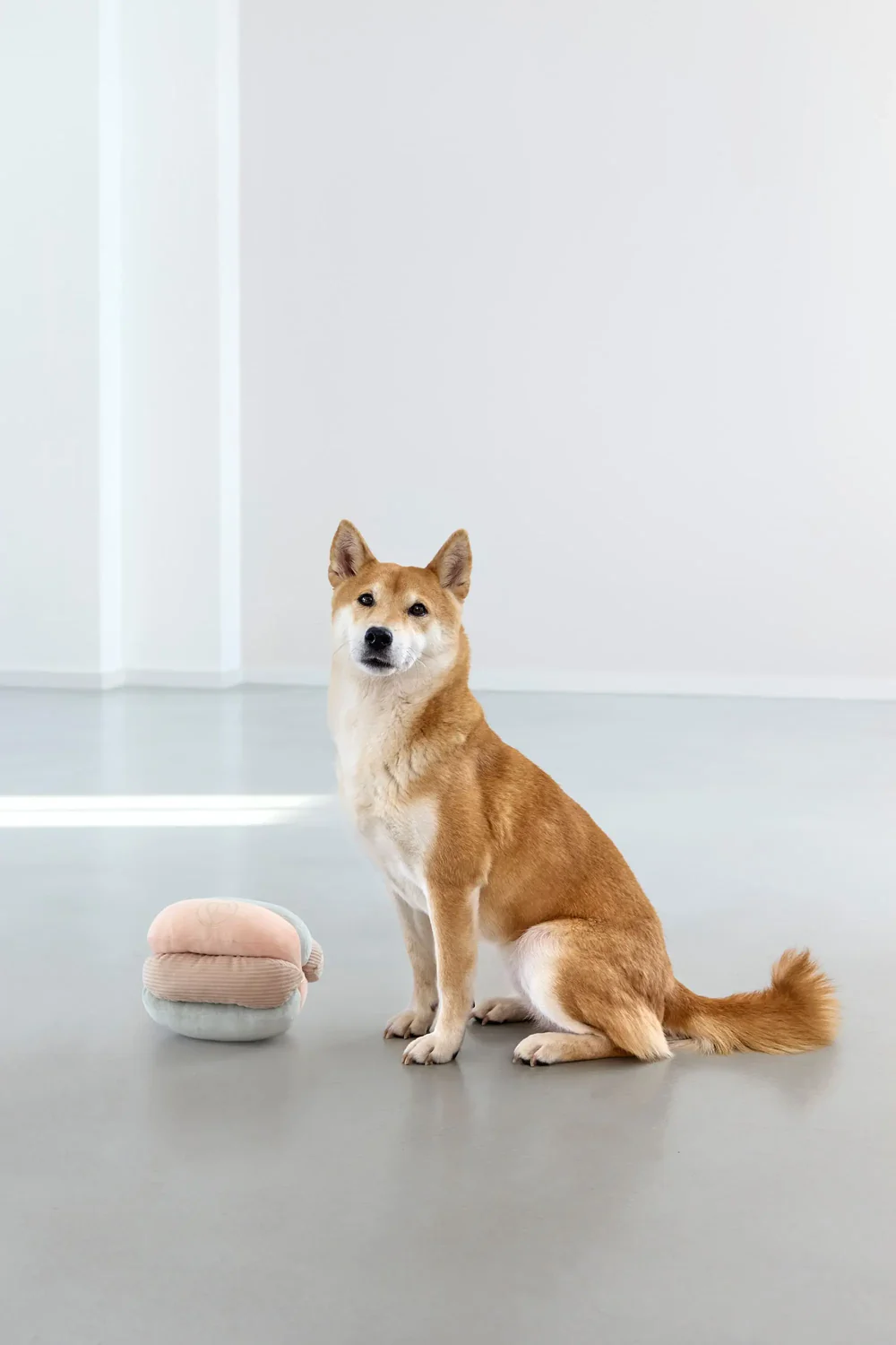 PALOPA Hundespielzeug - Brino, Rosa