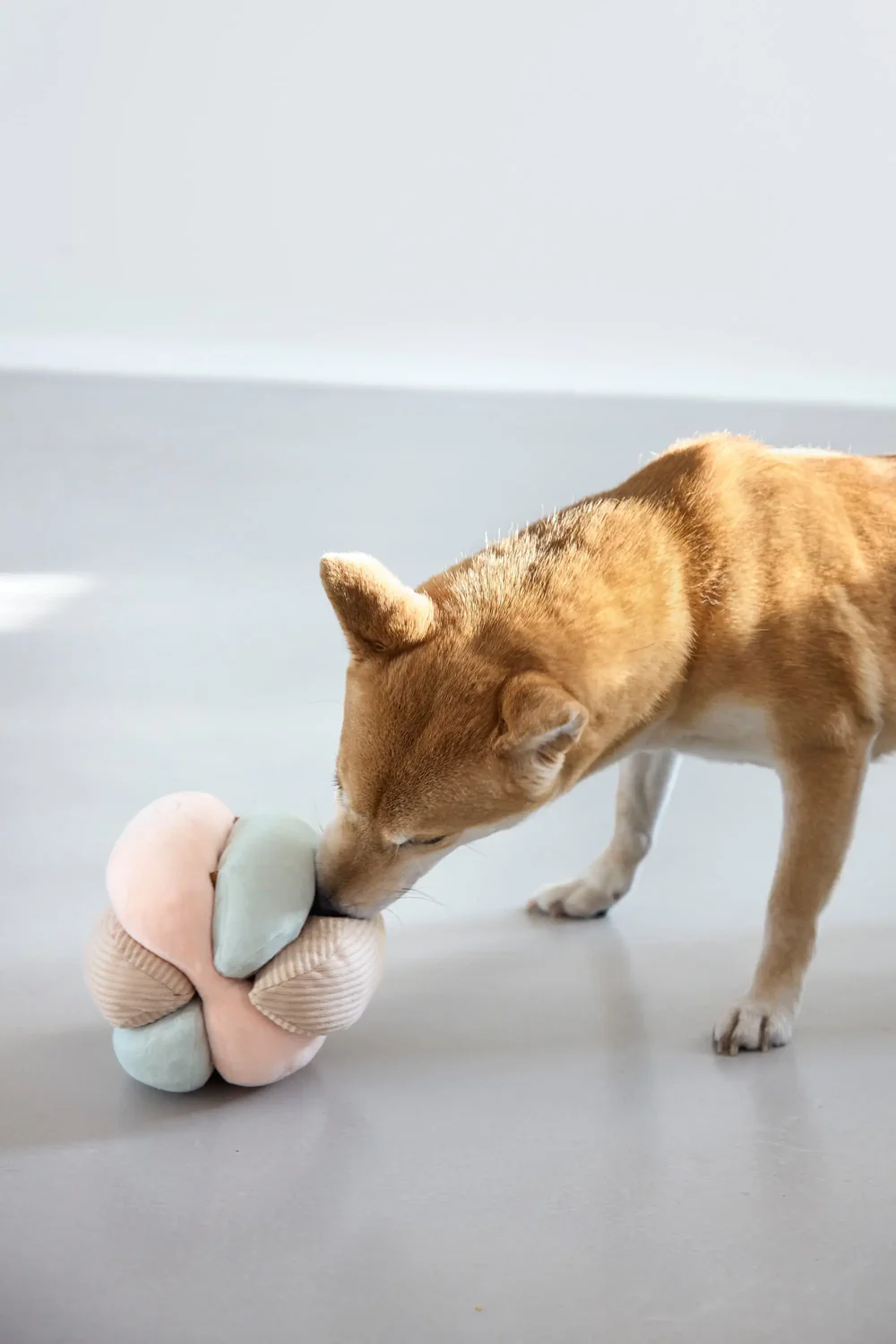 PALOPA Hundespielzeug - Brino, Rosa