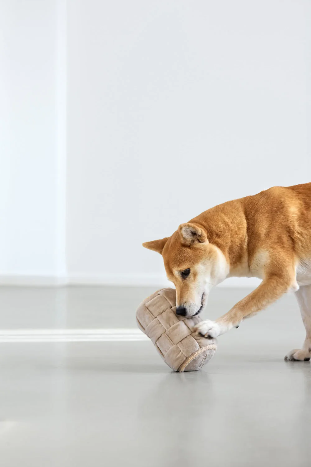 PALOPA Hundespielzeug - Kalpi, Beige