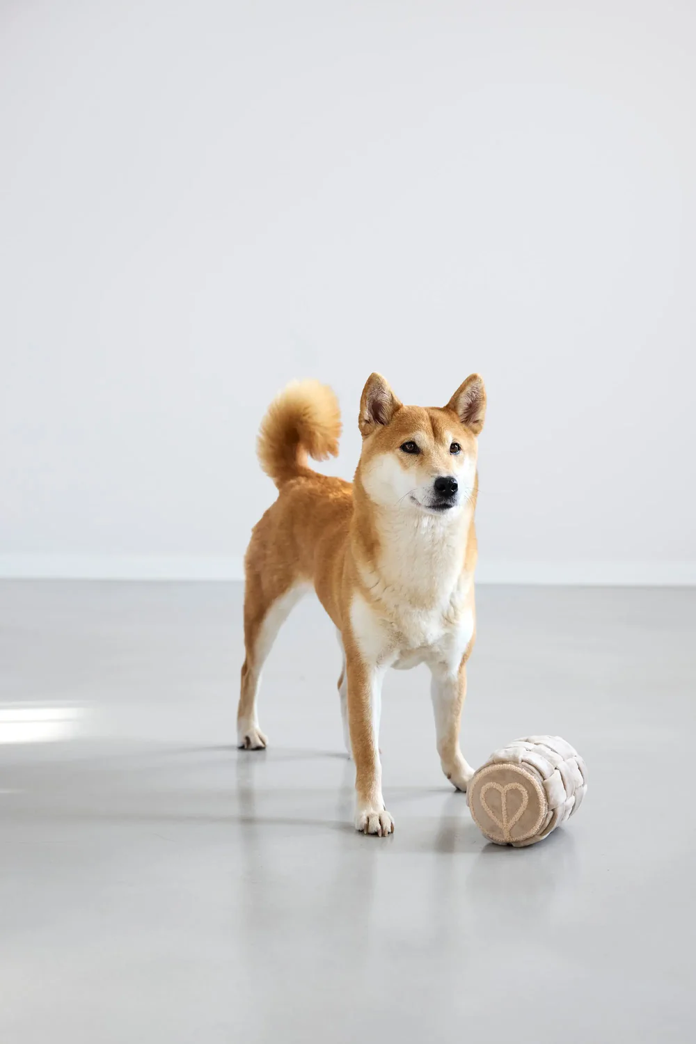 PALOPA Hundespielzeug - Kalpi, Beige