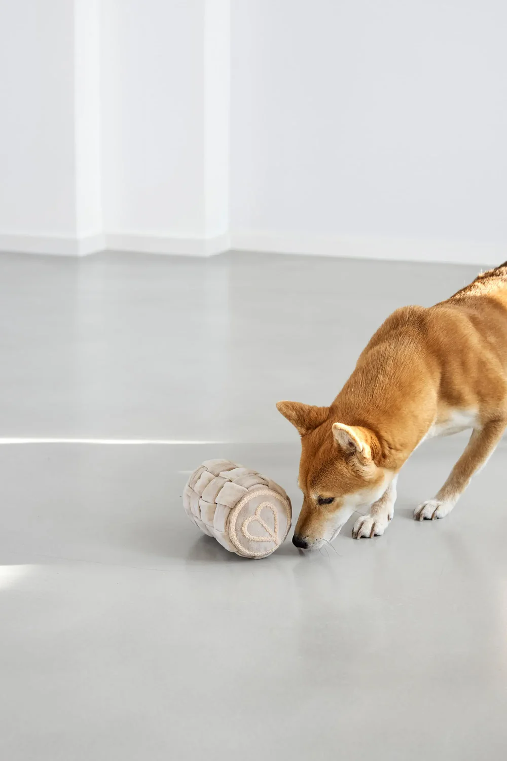 PALOPA Hundespielzeug - Kalpi, Beige