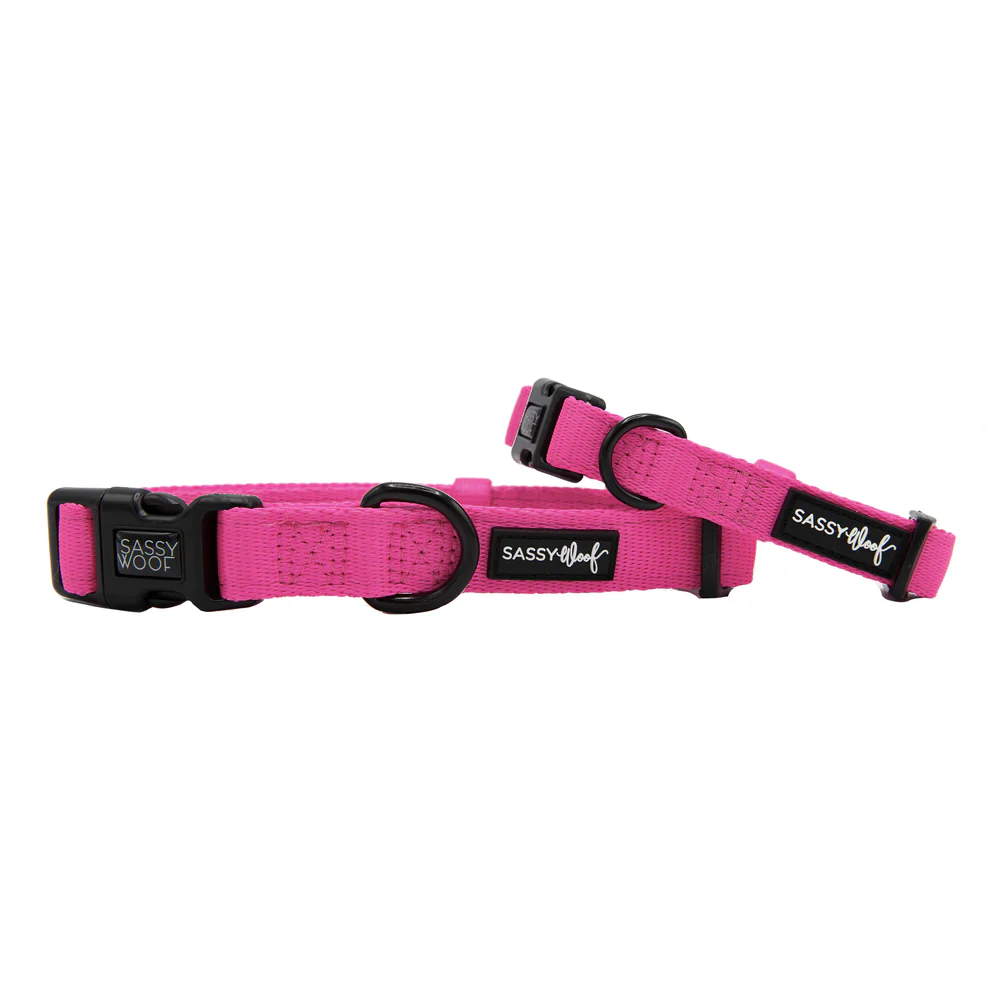 Sassy Woof Hundehalsband Neon Kollektion - Pink