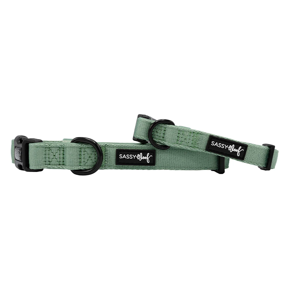Sassy Woof Hundehalsband Salbei