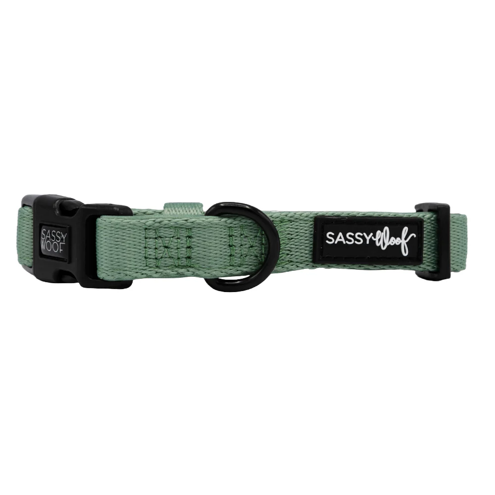 Sassy Woof Hundehalsband Salbeigrün