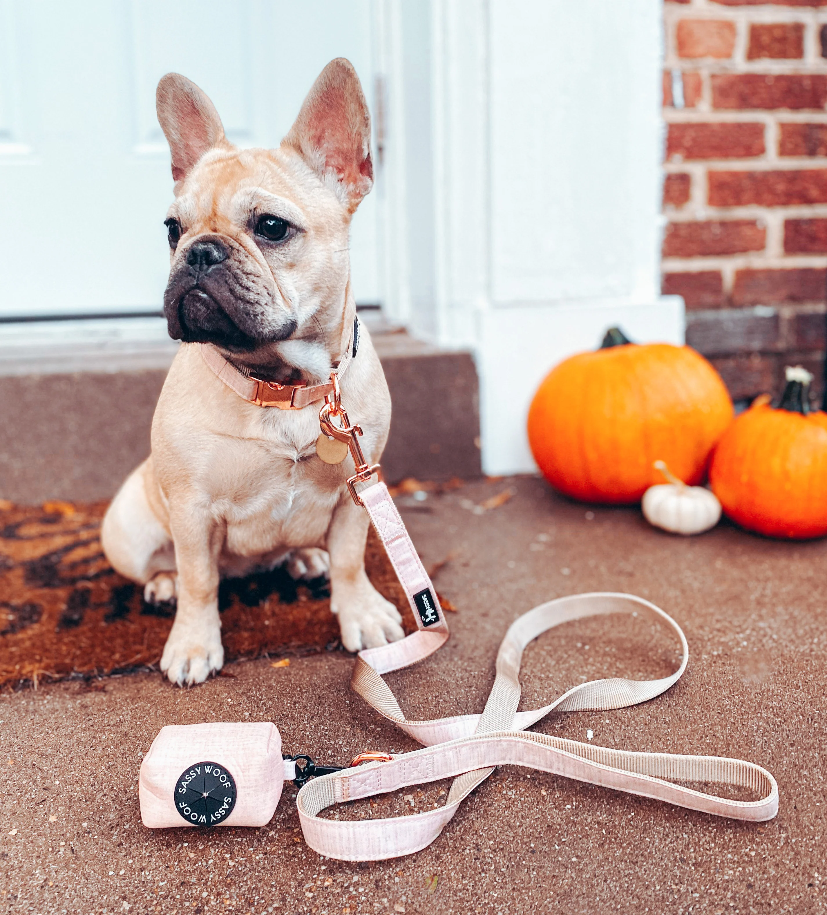 Sassy Woof Hundehalsband Pinot
