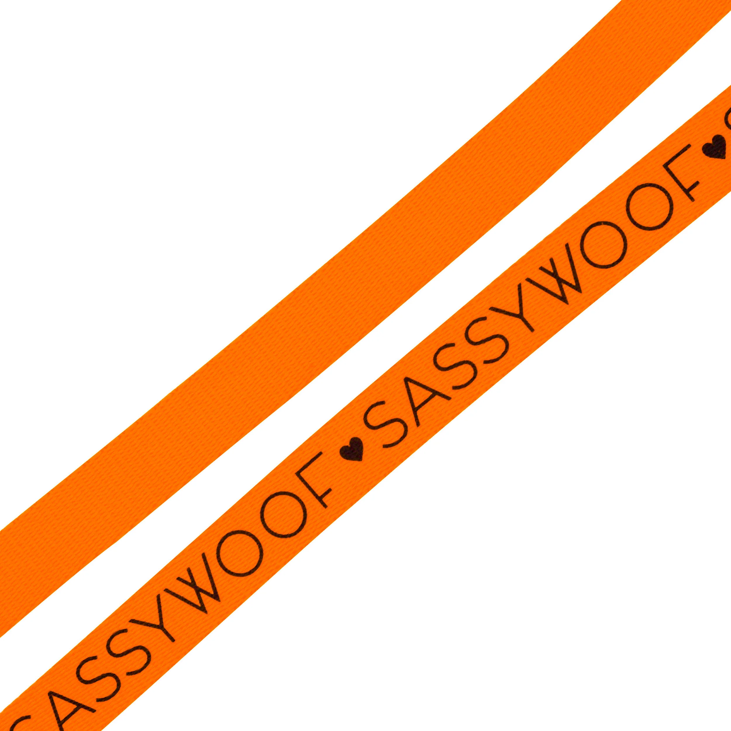 Sassy Woof Hundeleine Neon - Kollektion Orange