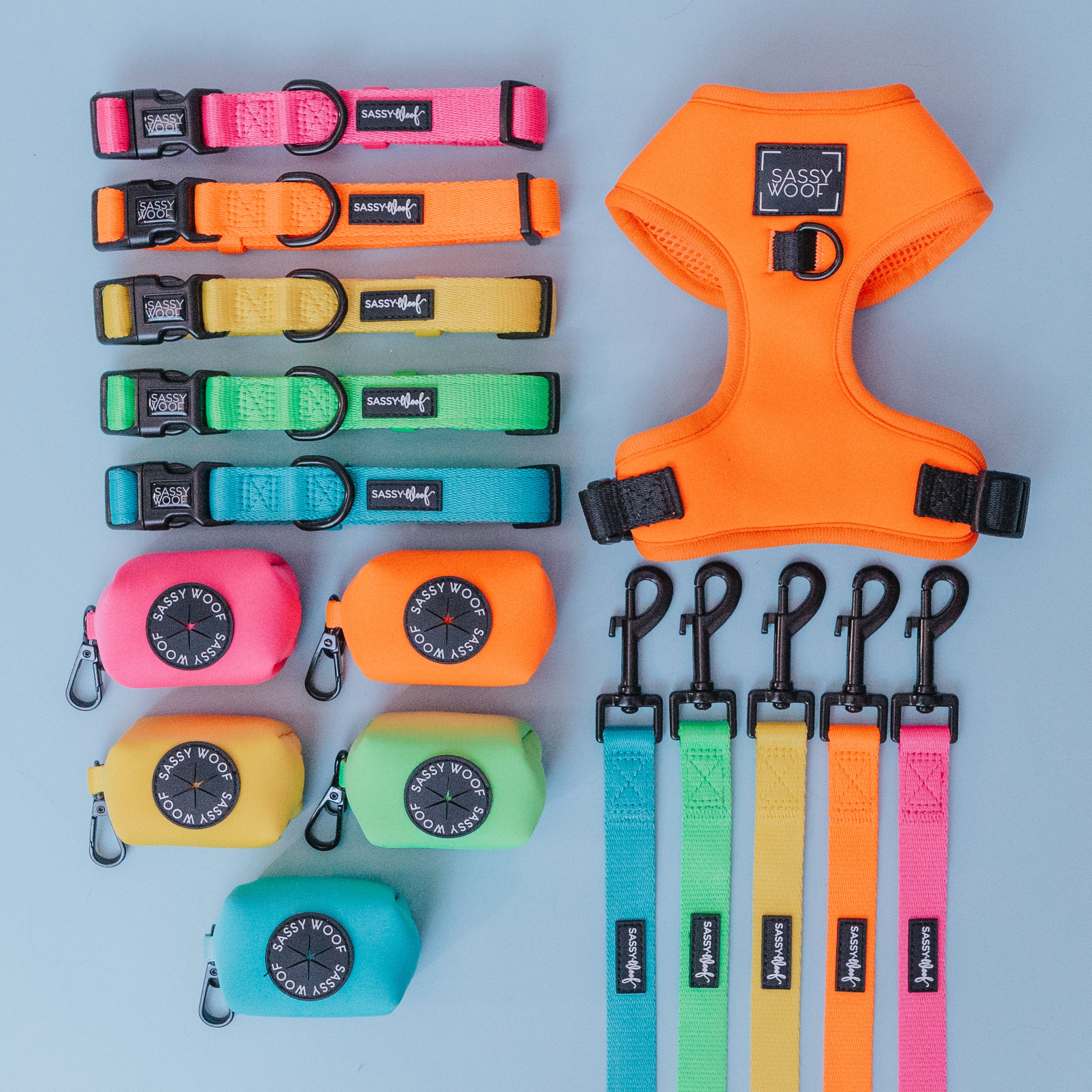 Sassy Woof Hundeleine Neon - Kollektion Orange