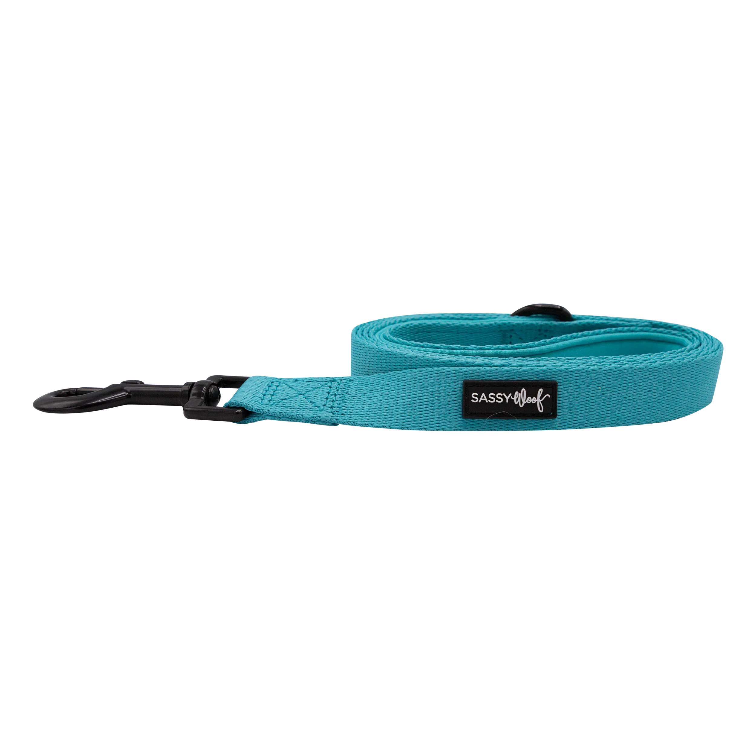 Sassy Woof Hundeleine Neon Kollektion - Blau