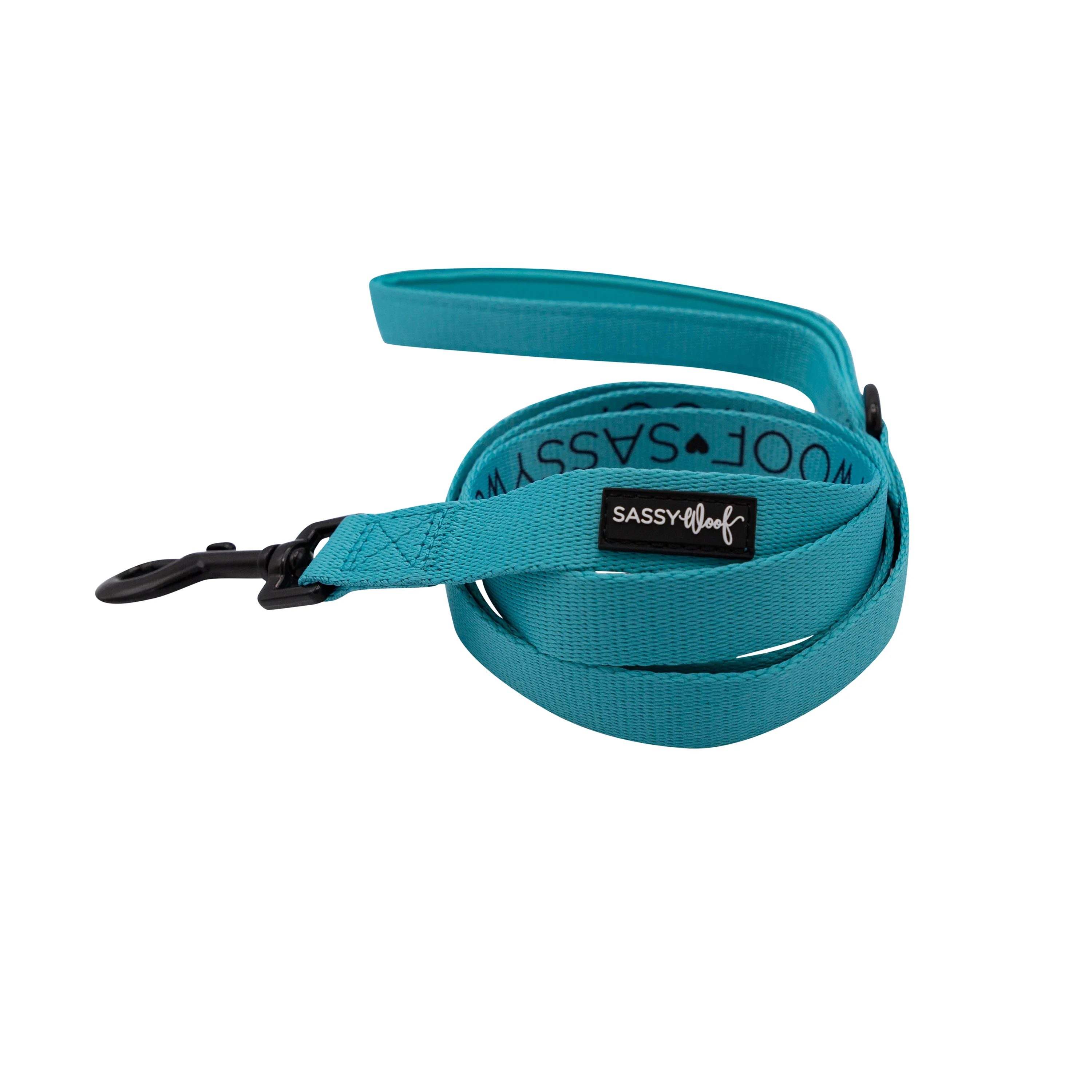 Sassy Woof Hundeleine Neon - Kollektion Blau