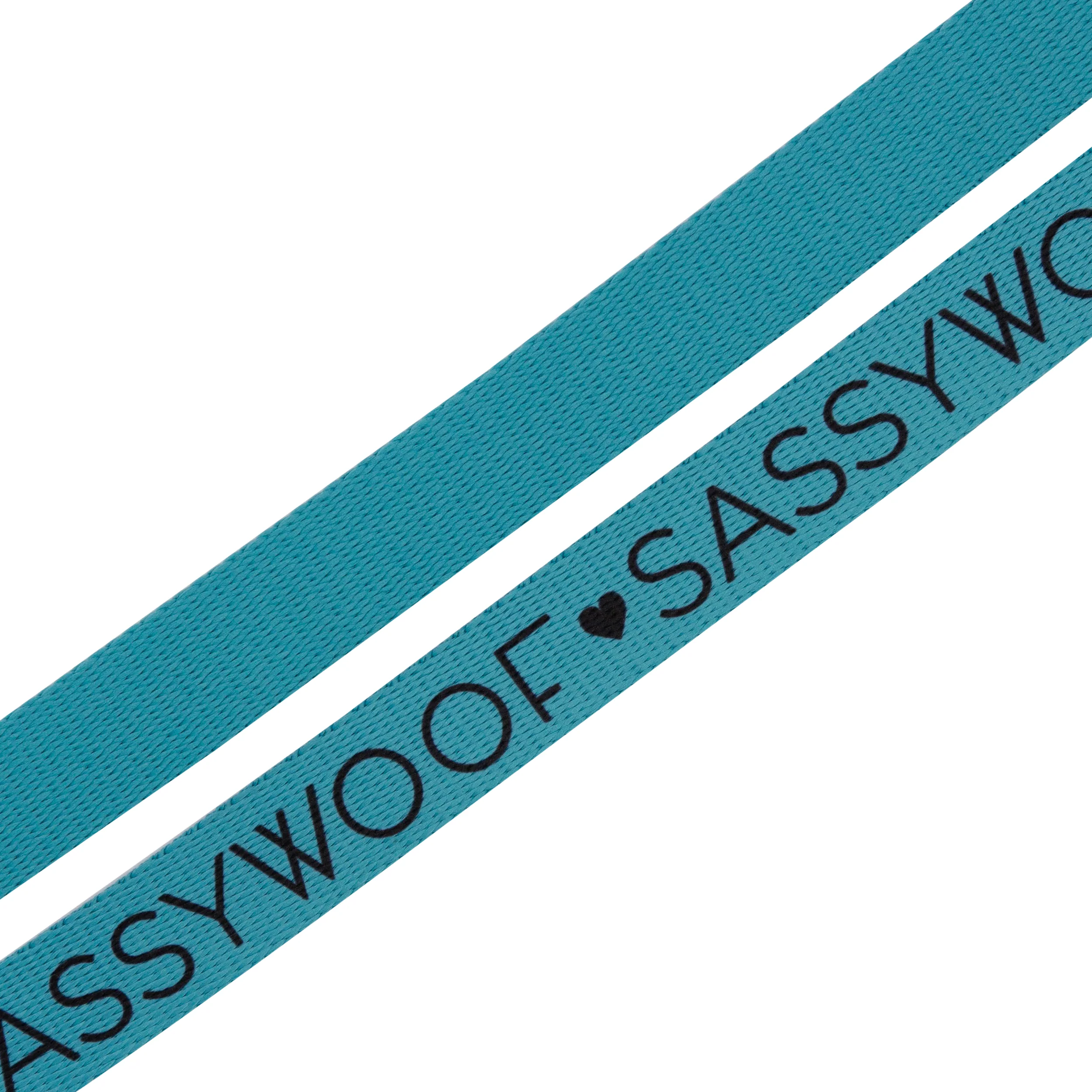 Sassy Woof Hundeleine Neon - Kollektion Blau