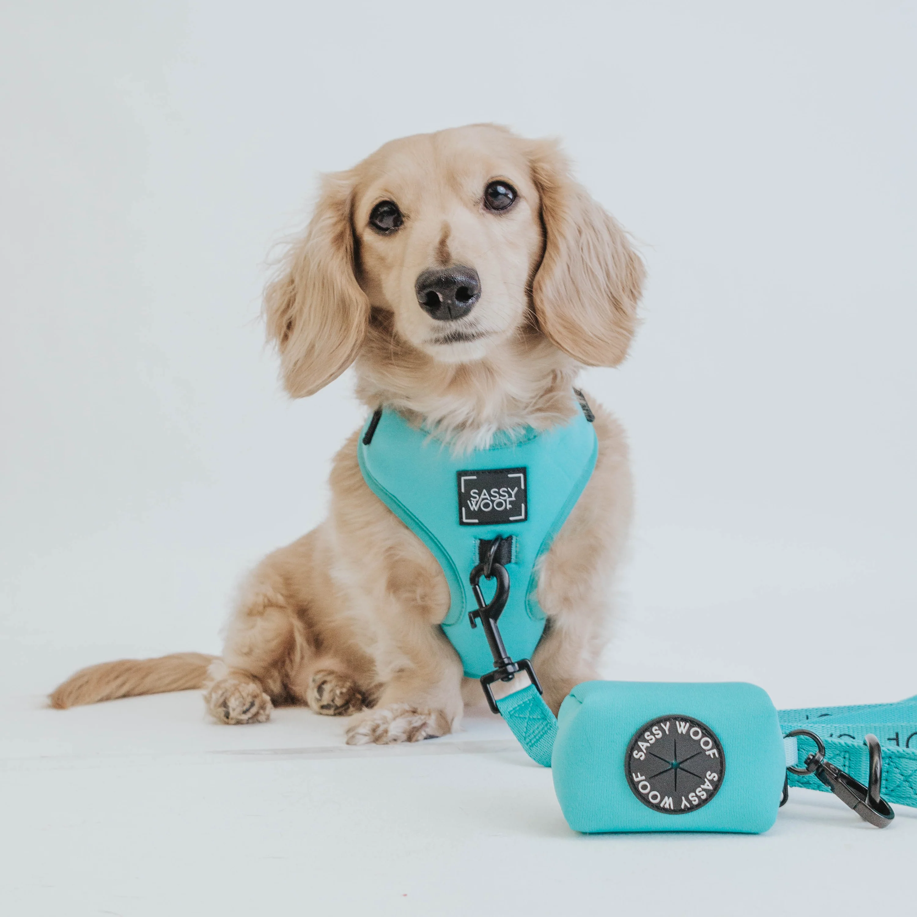 Sassy Woof Hundeleine Neon - Kollektion Blau