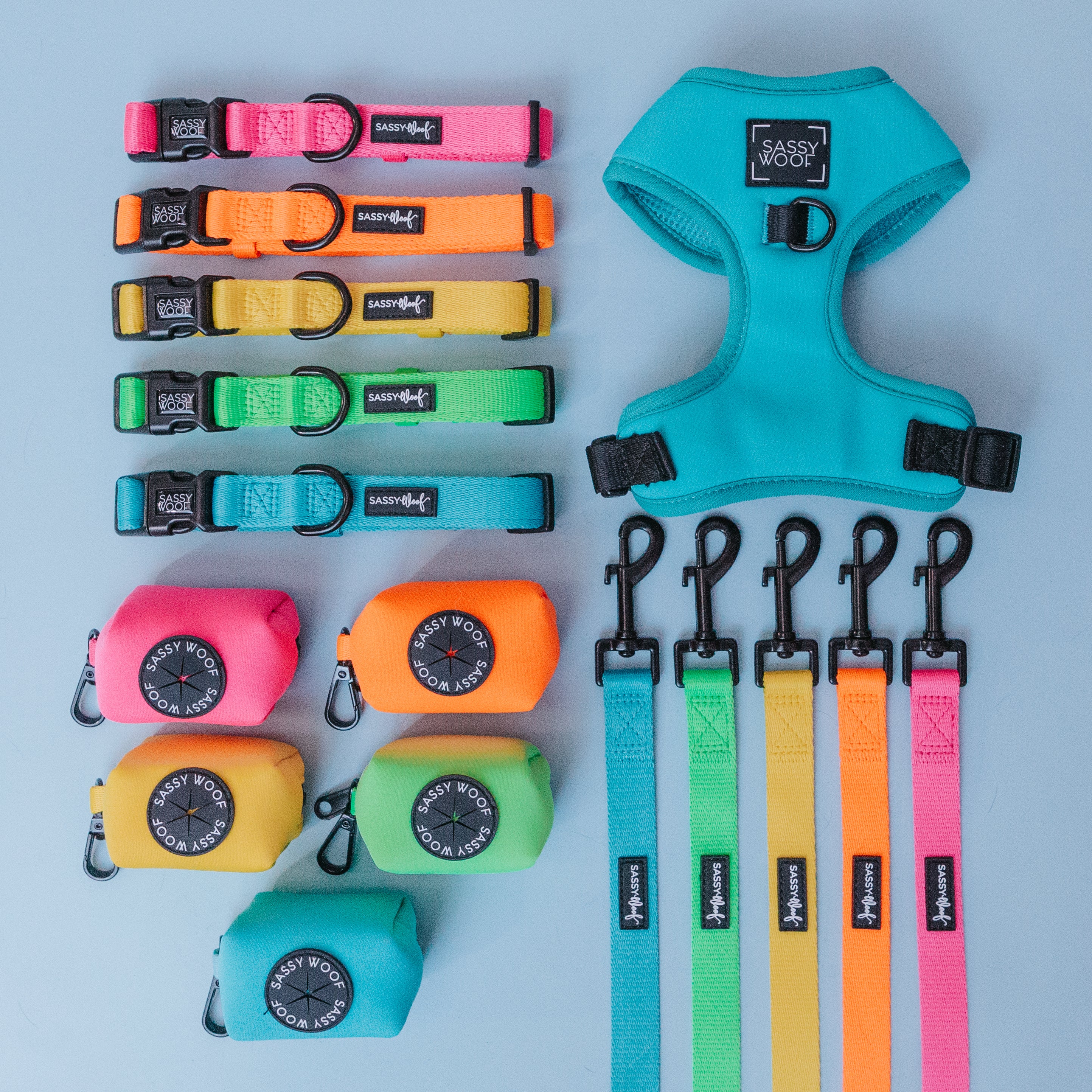 Sassy Woof Hundeleine Neon - Kollektion Blau