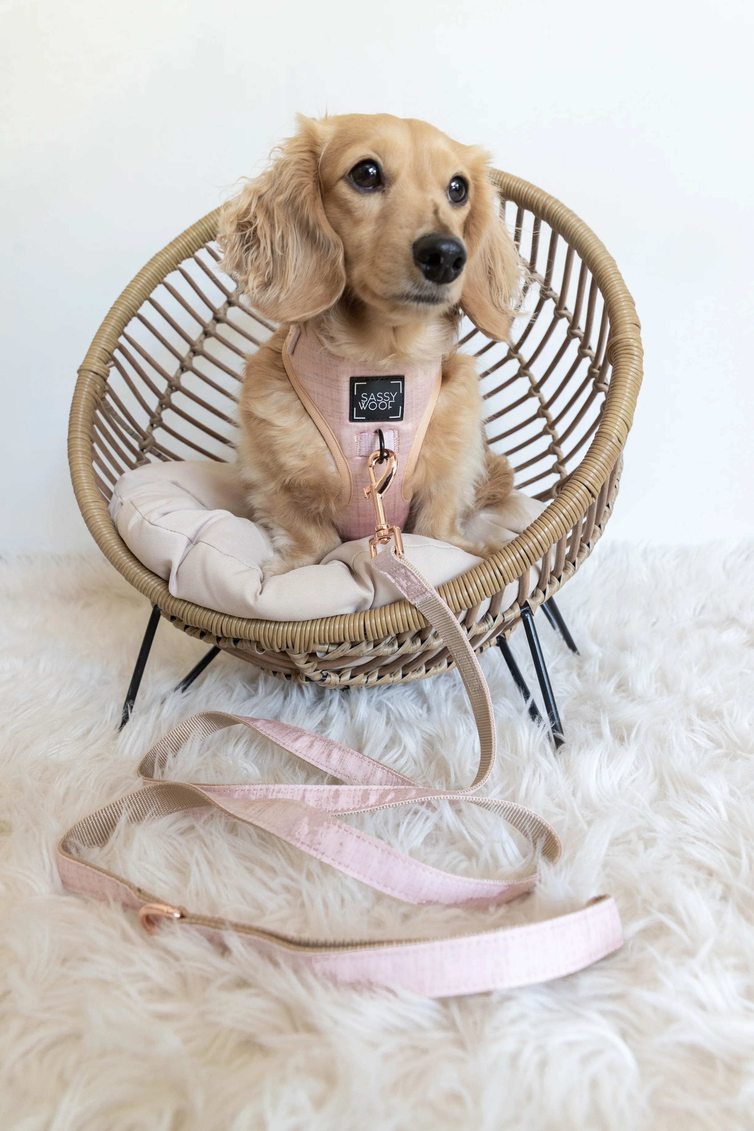 Sassy Woof Hundeleine Pinot