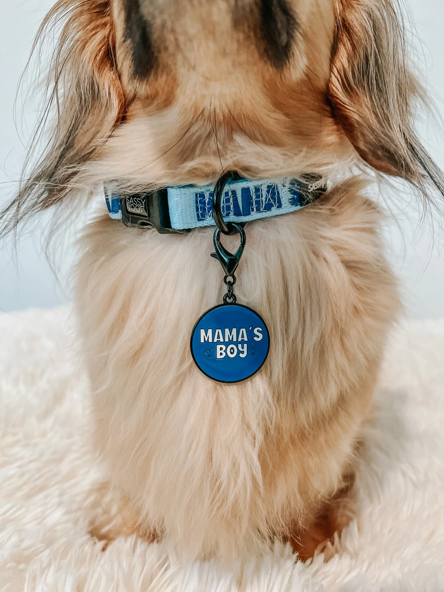Sassy Woof Hundemarke Mama's Boy