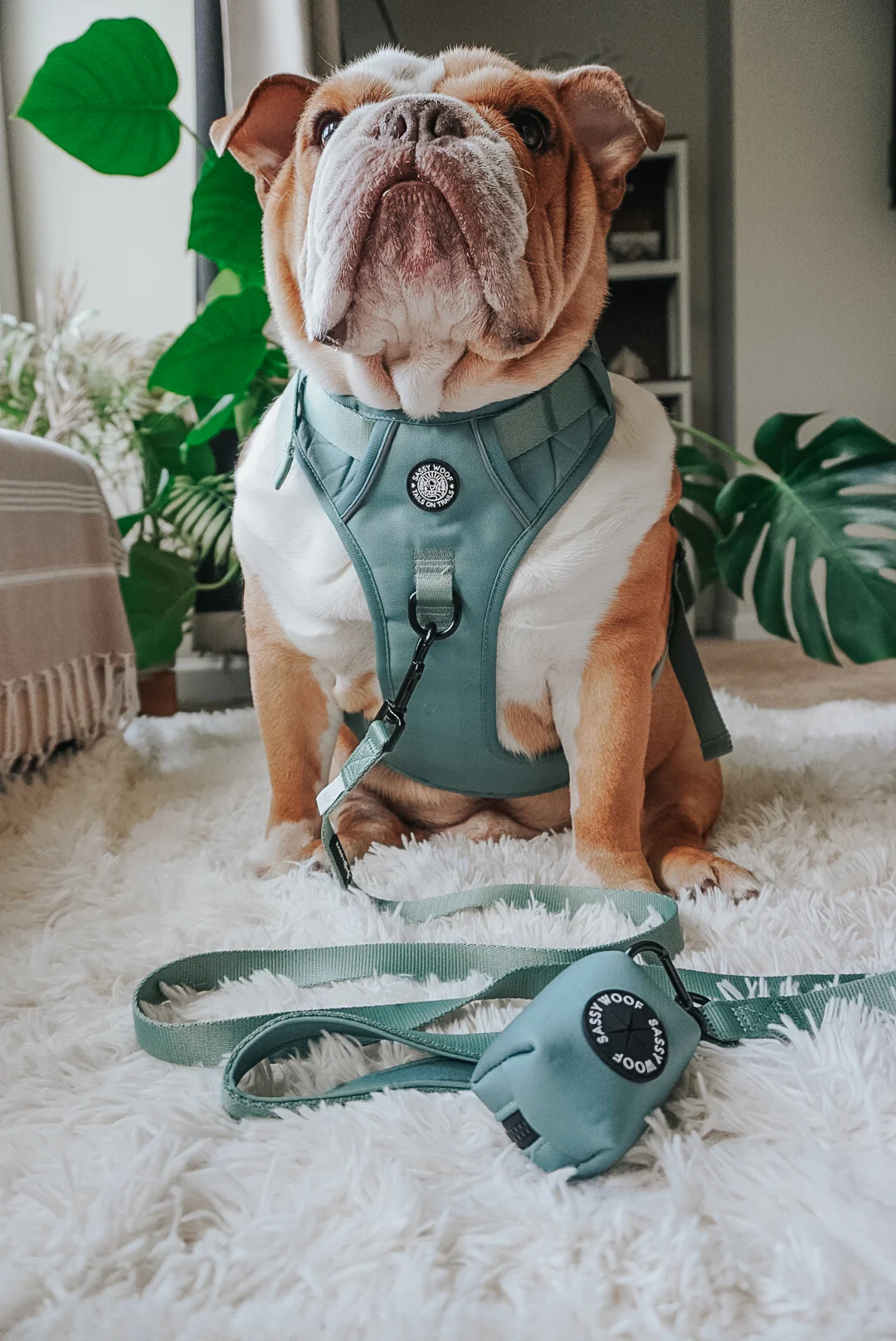 Sassy Woof Kotbeutelspender Salbei