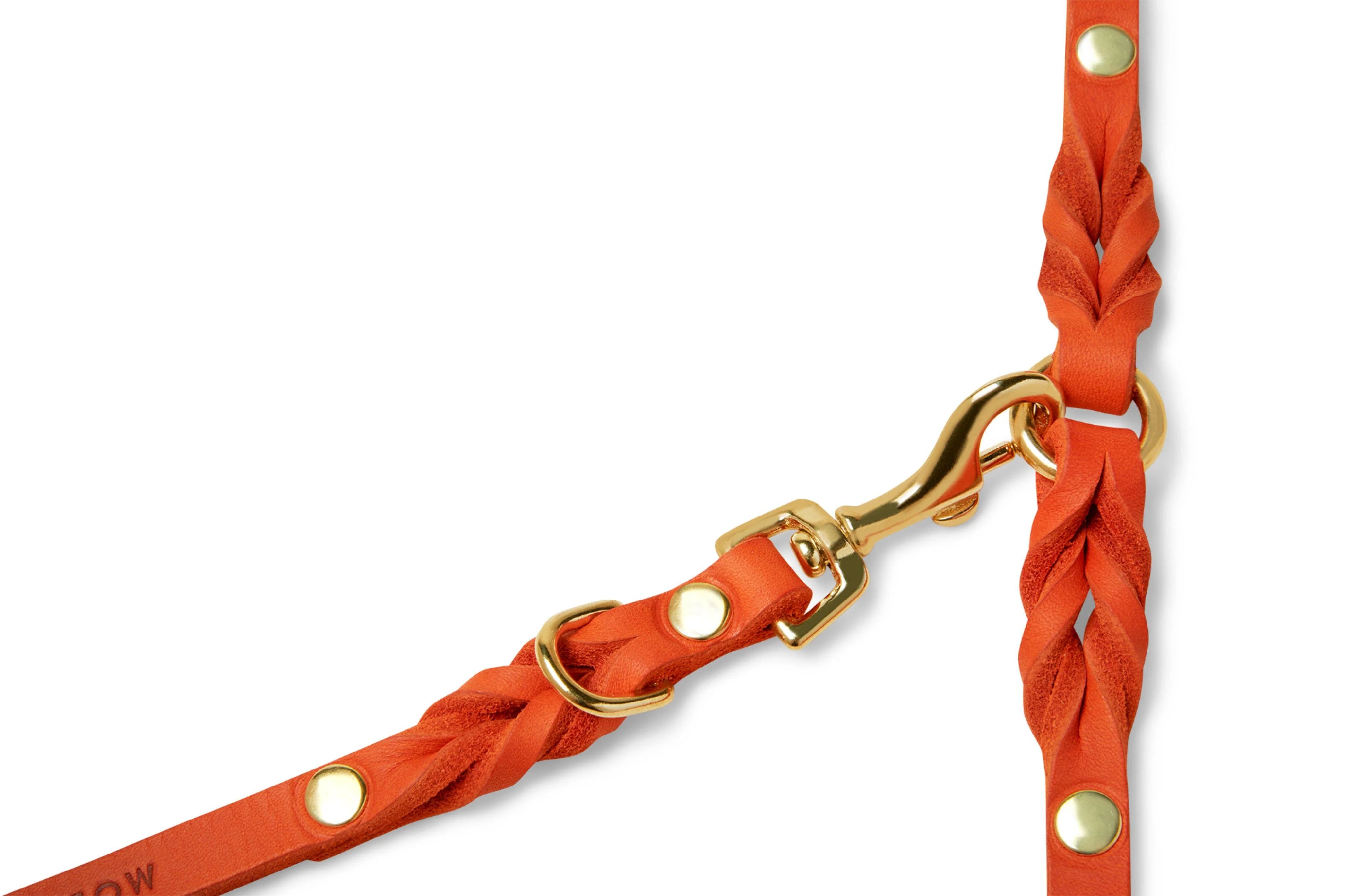 MOLLY & STITCH Butter Leather 3x verstellbare Hundeleine - Mango