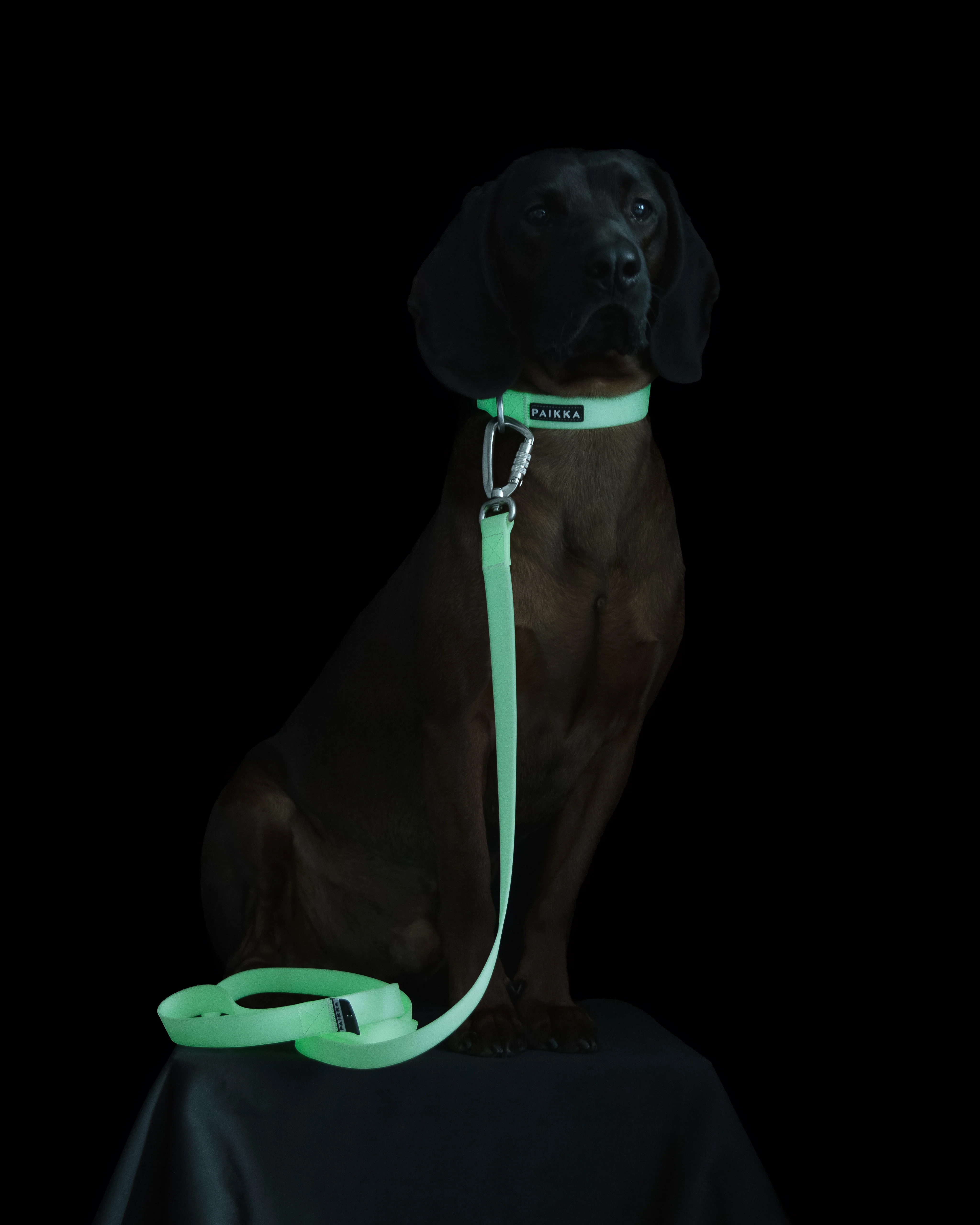 PAIKKA Glow Hundehalsband Rosa