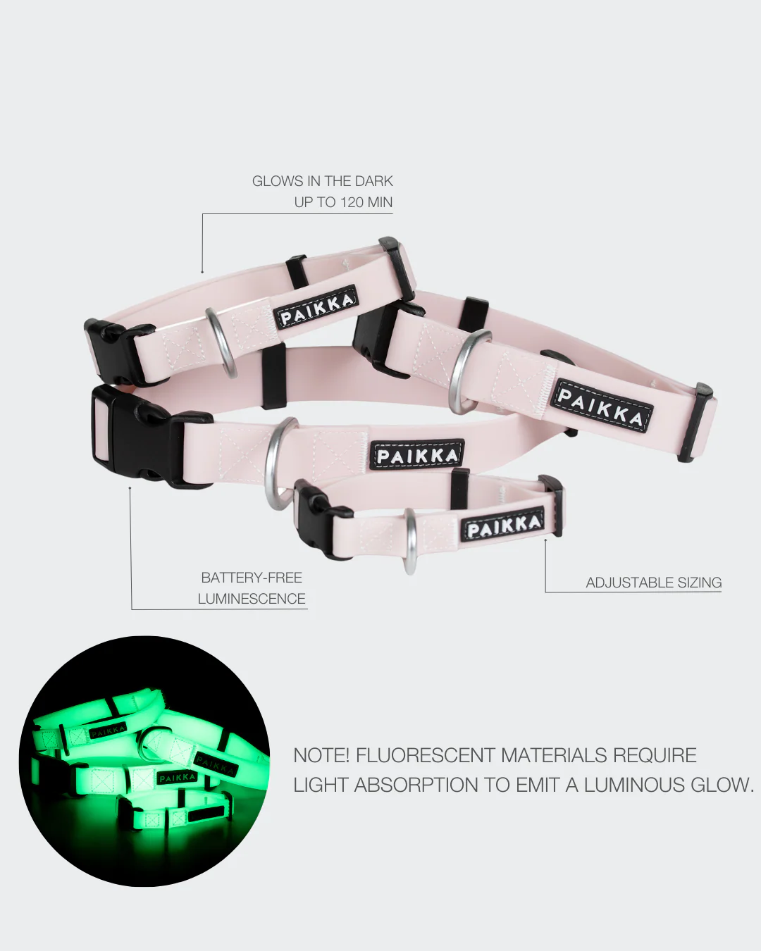 PAIKKA Glow Hundehalsband Cabbage
